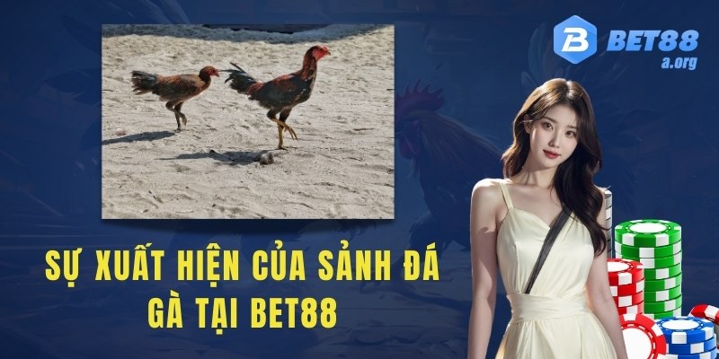 Sự xuất hiện của sảnh đá gà tại bet88
