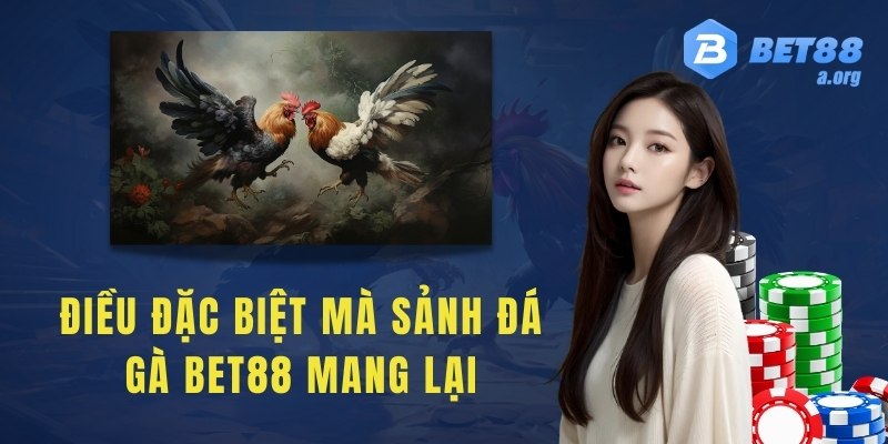 Những điều đặc biệt mà sảnh đá gà bet88 mang lại