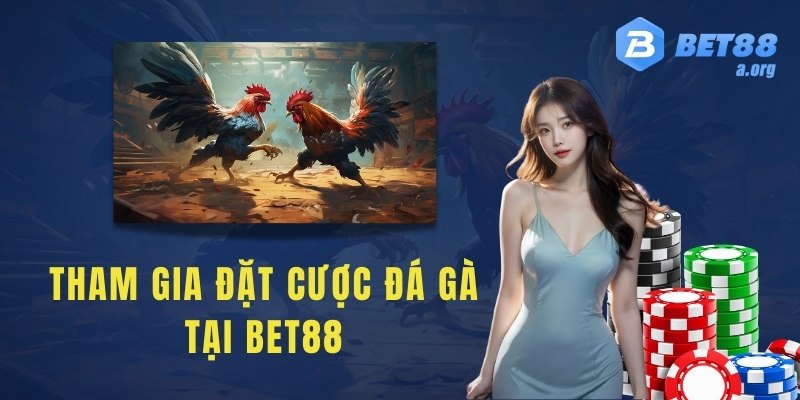 Cách tham gia đặt cược đá gà tại bet88