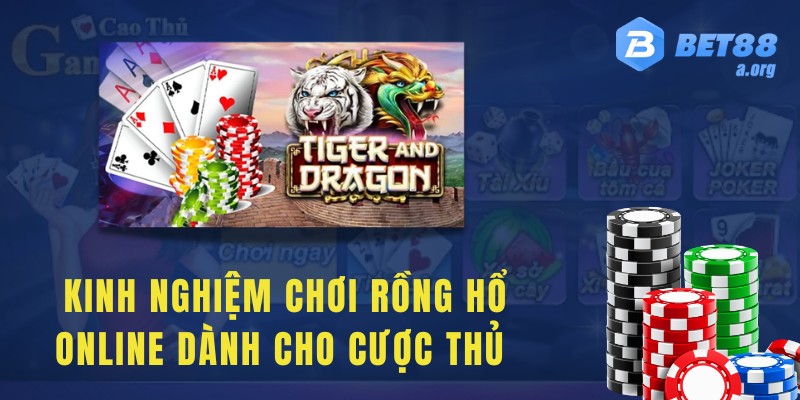Một số kinh nghiệm chơi rồng hổ online dành cho cược thủ mới